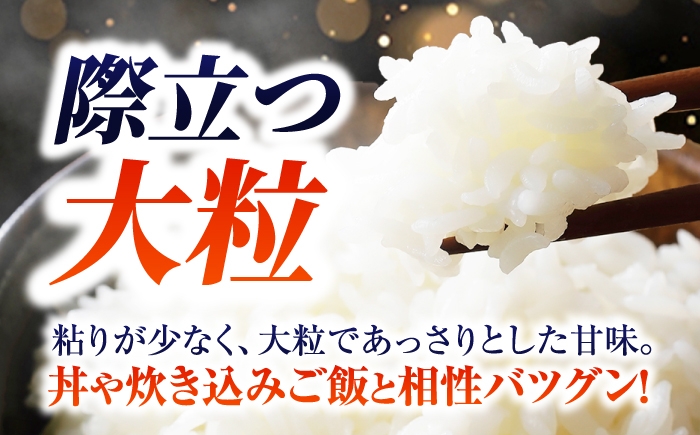 ハツシモ はしつも すし飯 お米 米 こめ 白米 10kg 10キロ 定期便