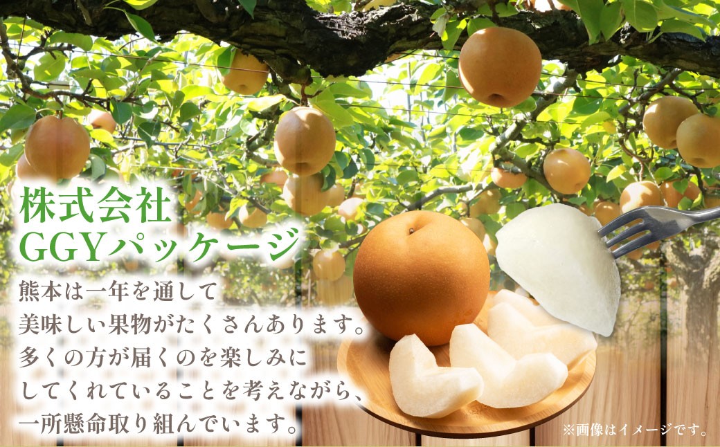 熊本市産 梨(幸水・豊水・秋月・新高など) 約1.8kg(3～6玉)