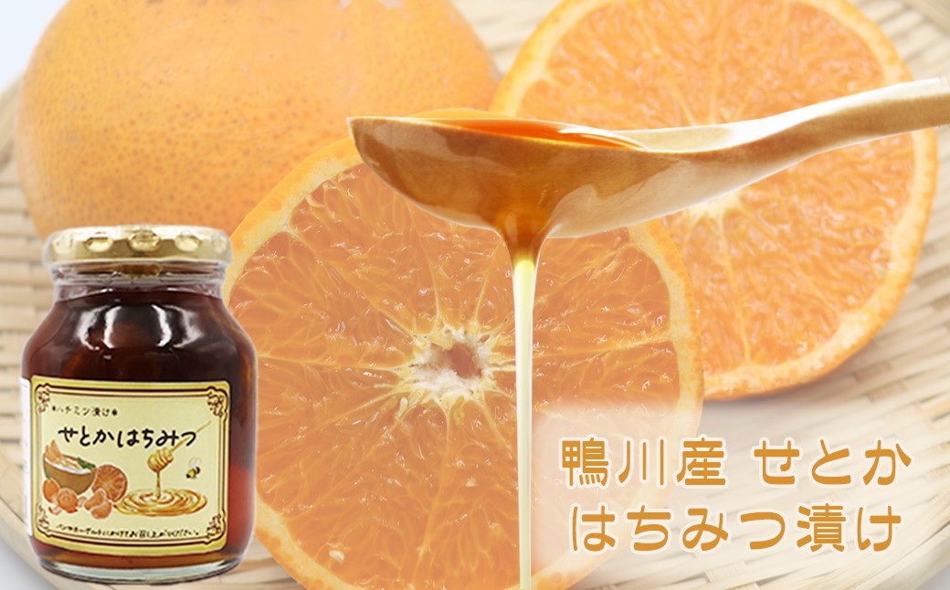 鴨川産の「せとか」のはちみつ漬け。通常のはちみつよりもややさらりとした口当たりです。
