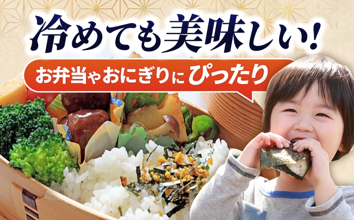 ハツシモ はしつも すし飯 お米 米 こめ 白米 10kg 10キロ 定期便