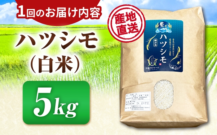 ハツシモ はしつも すし飯 お米 米 こめ 白米 5kg 5キロ 定期便