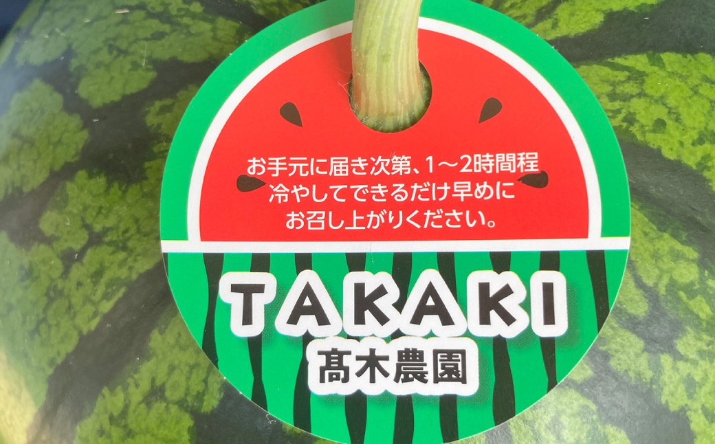 熊本県産 すいか 春のだんらん 6kg以上