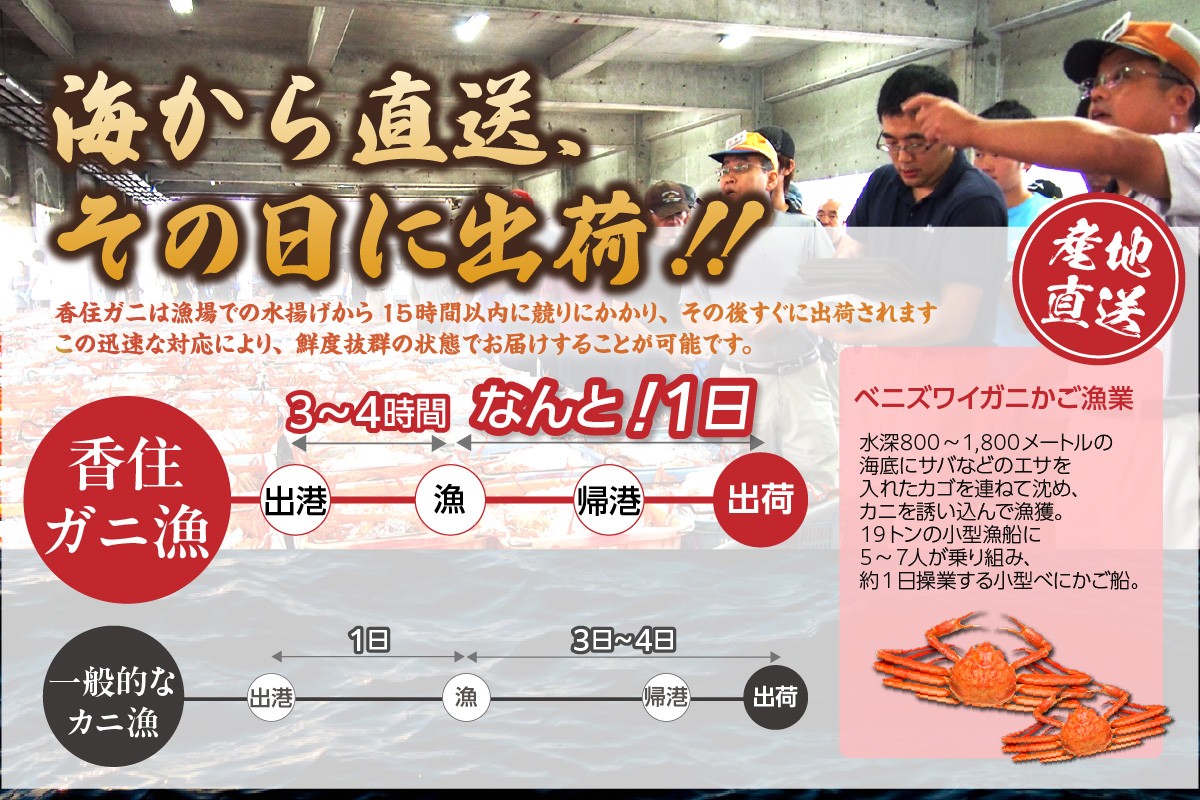 水揚げ後、すぐに出荷いたします。