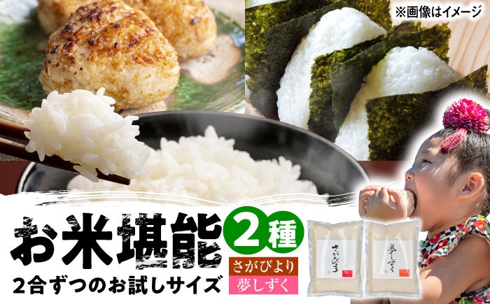 【特A評価獲得】武雄産米 2種お試し食べ比べセット さがびより・夢しずく 2合(300g)×2袋 白米 米 お米