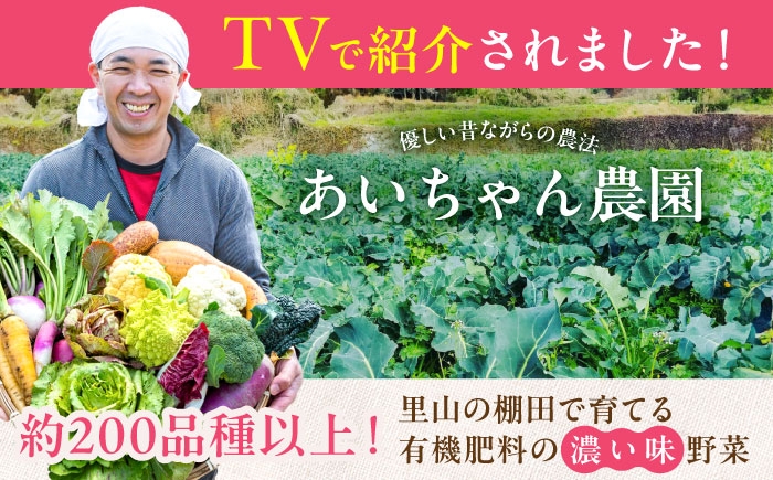 農薬に頼らない!カラダにやさしい「イタリア野菜」セット
