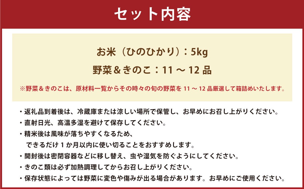 【令和7年度産】 熊本県（七城）産のお米と熊本県産の野菜ときのこ お米（5kg）・野菜＆きのこ（11～12品）