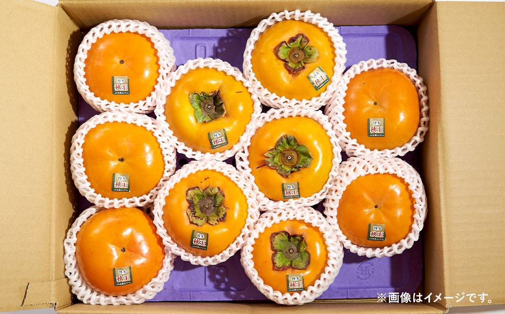 福岡県産 柿 秋王 約1.5kg （4～6玉）