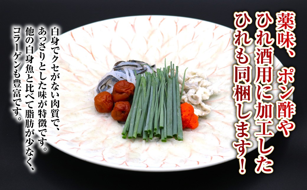 長崎とらふぐ刺身2人前 / ふぐ 刺し身 さしみ 鮮魚 魚介 新鮮 産地直送 フグ 海鮮 ふぐ刺し 長崎県 長崎市