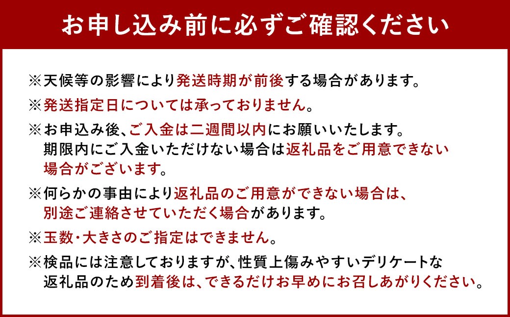 福岡県産 柿 秋王 約1.5kg （4～6玉）