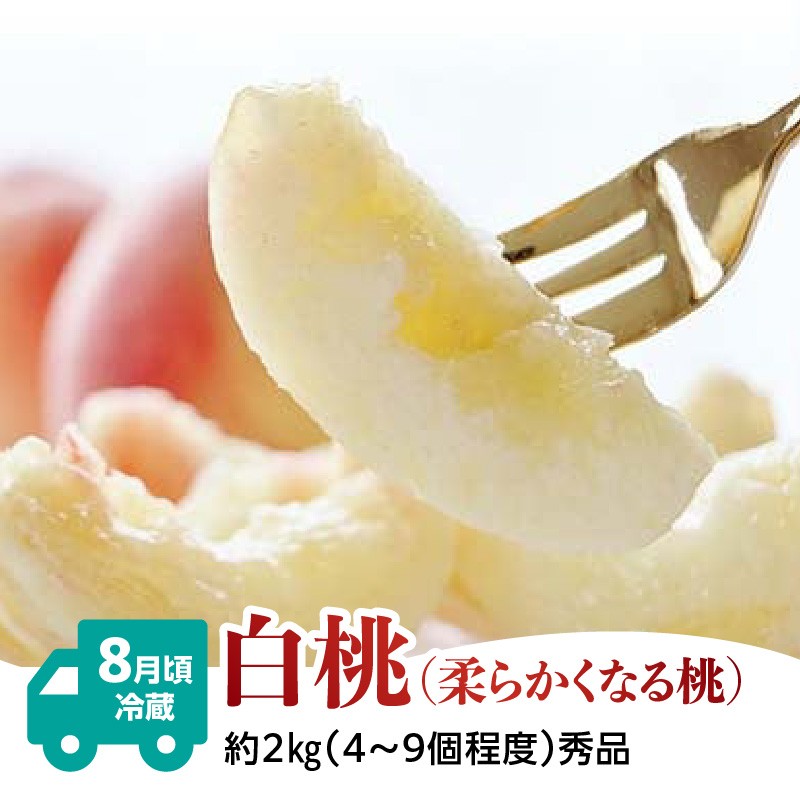 【発送月固定】山形旬彩！こだわりフルーツ定期便全３回Ａ