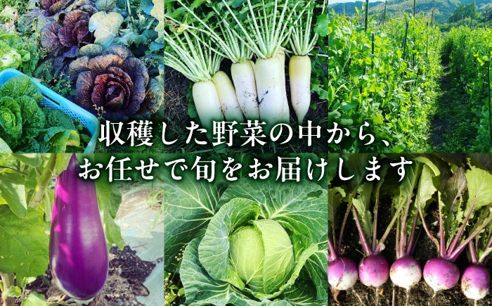 農薬に頼らない!カラダにやさしい「イタリア野菜」セット
