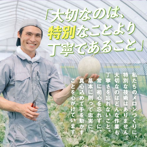2018年5月29日現在のメロンの状態です。まだ実が小さく、模様もないですが、7月までに立派に成長します！お楽しみに!!
