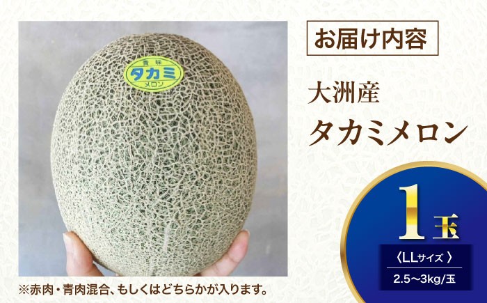 メロン めろん タカミ 小玉 こだま 貴味 果物 くだもの 旬 フルーツ 高級 デザート 2玉 3玉 先行予約