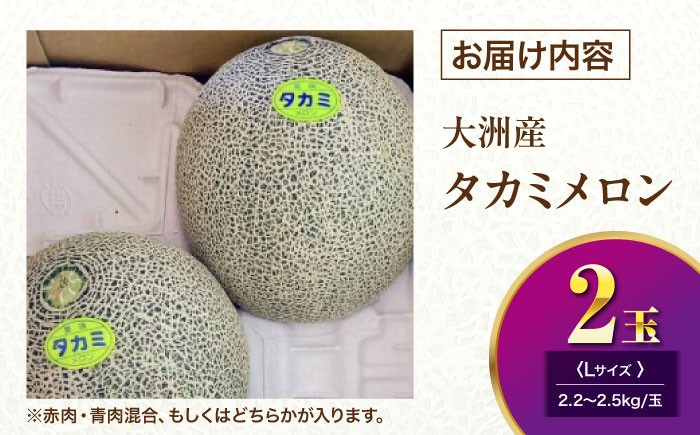 メロン めろん タカミ 小玉 こだま 貴味 果物 くだもの 旬 フルーツ 高級 デザート 2玉 3玉 先行予約