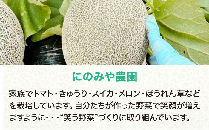 メロン めろん タカミ 小玉 こだま 貴味 果物 くだもの 旬 フルーツ 高級 デザート 2玉 3玉 先行予約