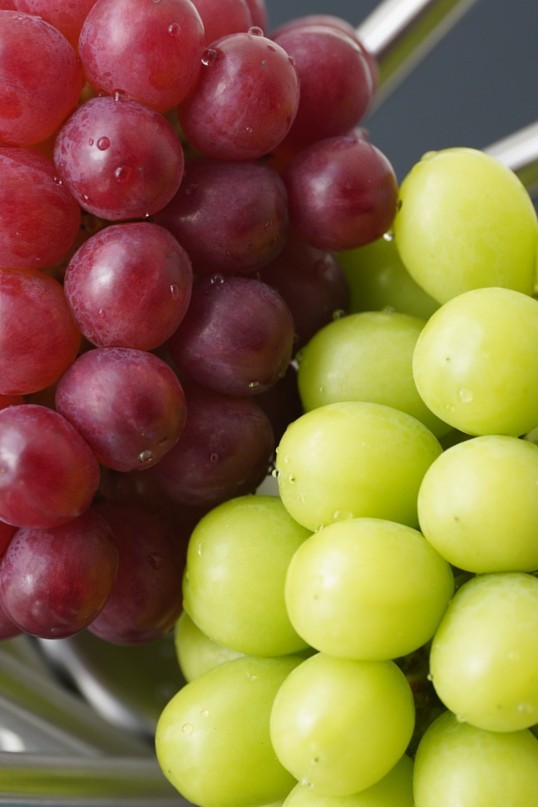 清らかな空気、綺麗な水、豊かな土壌で育まれた元気いっぱいのぶどう
