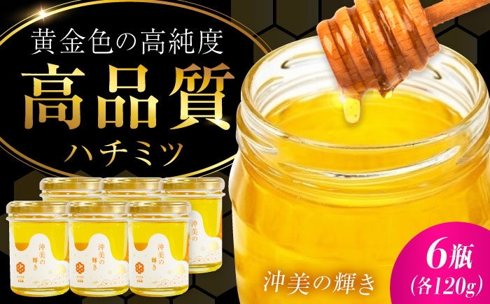 江田島産100％ はちみつ 沖美の輝き120g×6本セット ハチミツ 蜂蜜 国産 広島 江田島