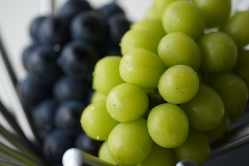 清らかな空気、綺麗な水、豊かな土壌で育まれた元気いっぱいのぶどう