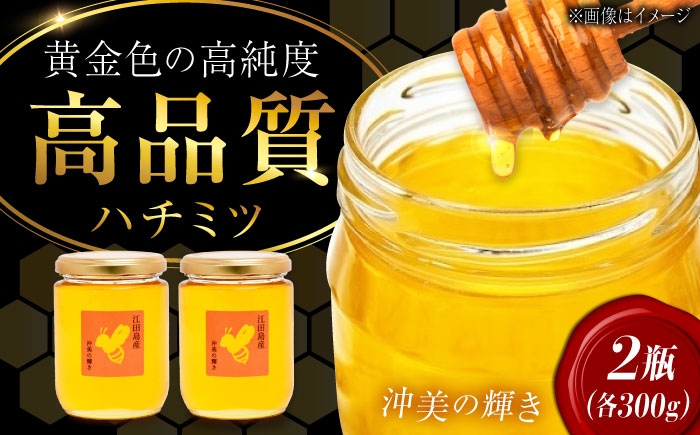 江田島産100％ はちみつ 沖美の輝き 300g×2本 ハチミツ 蜂蜜 国産 広島 はつはな果蜂園 国産はちみつ 蜜 蜂蜜