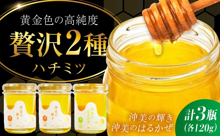 江田島産100% はちみつ 2種食べ比べセット(120g×3本) ハチミツ 蜂蜜 国産 広島 江田島