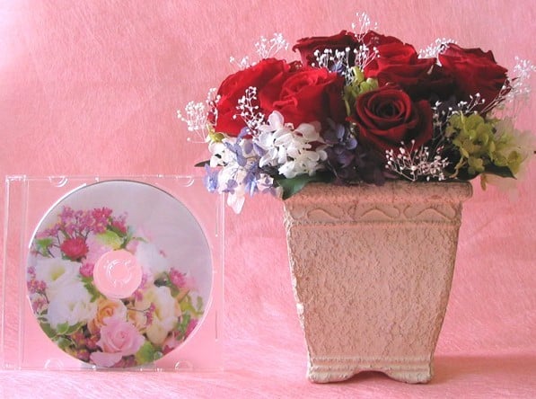 ※画像内のCDは大きさ比較用です。付属はしませんのでご注意ください。