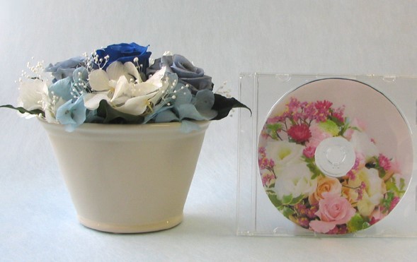 ※画像内のCDは大きさ比較用です。付属はしませんのでご注意ください。