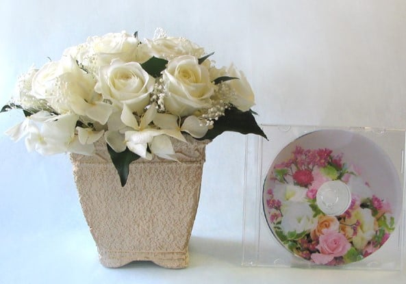 ※画像内のCDは大きさ比較用です。付属はしませんのでご注意ください。