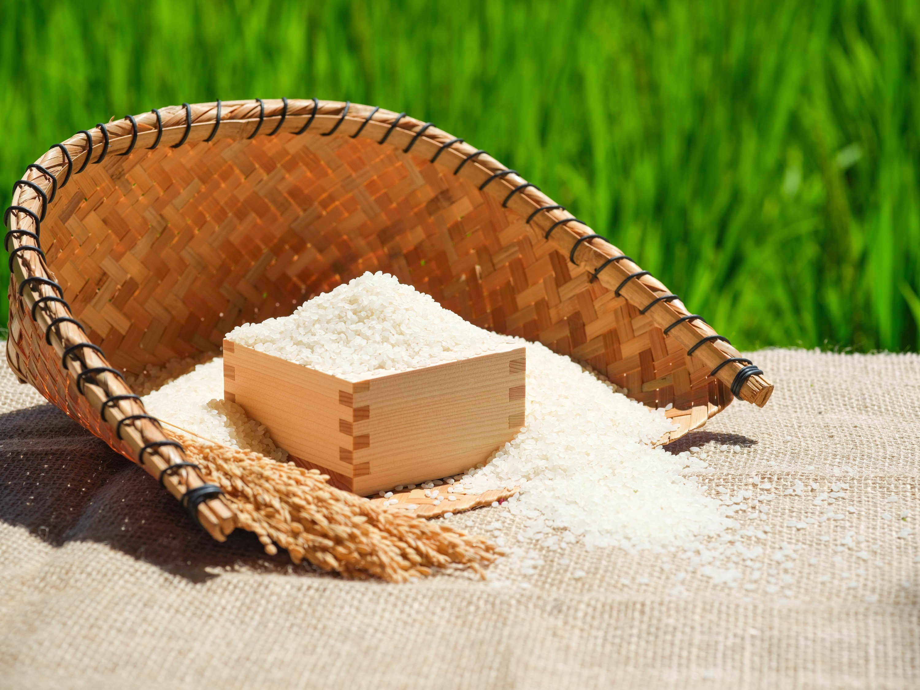 画像はイメージです