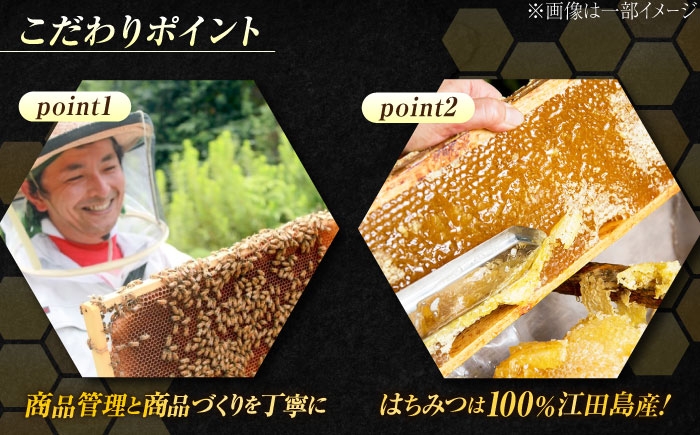 江田島産100％ はちみつ 沖美の輝き 300g×2本 ハチミツ 蜂蜜 国産 広島 はつはな果蜂園 国産はちみつ 蜜 蜂蜜