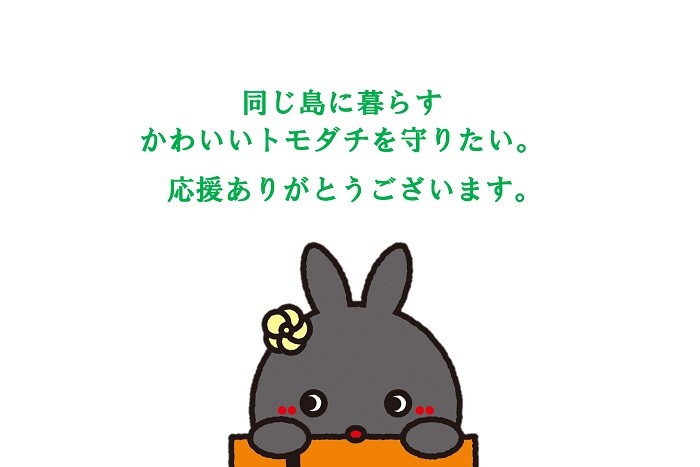 同じ島に暮らすトモダチ（アマミノクロウサギ）を守りたい。