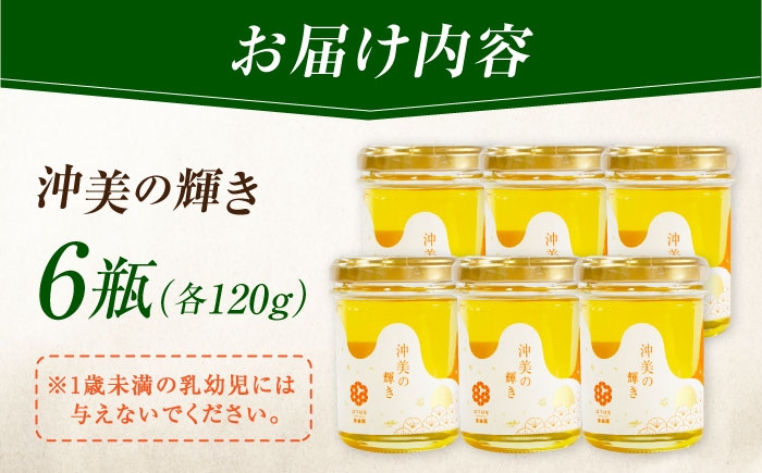 江田島産100％ はちみつ 沖美の輝き120g×6本セット ハチミツ 蜂蜜 国産 広島 江田島