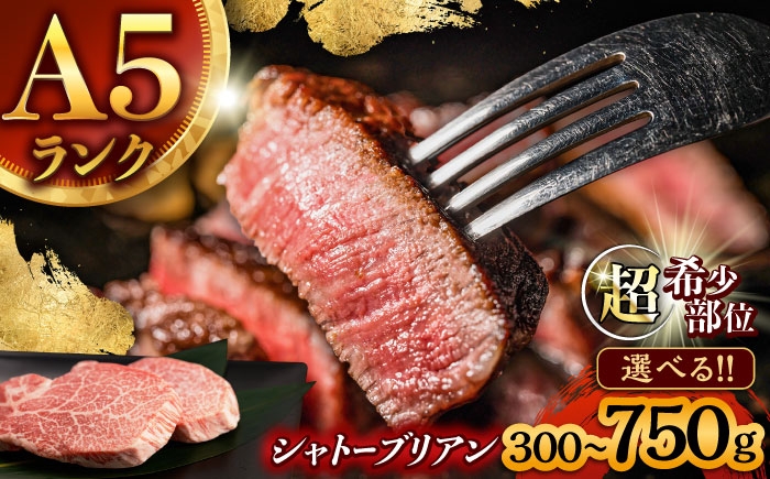 希少 長崎和牛 牛肉 ぎゅうにく 和牛 国産 肉 にく 牛 ヒレ ひれ ヒレステーキ シャトーブリアン しゃとーぶりあん