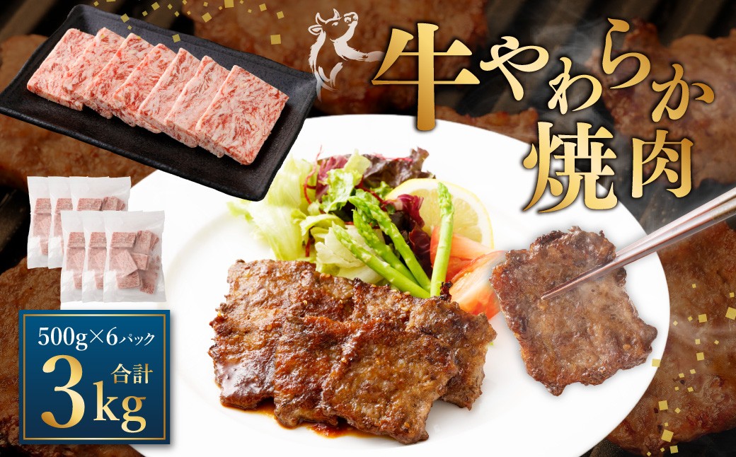 牛やわらか焼肉 500g×6パック 計3kg
