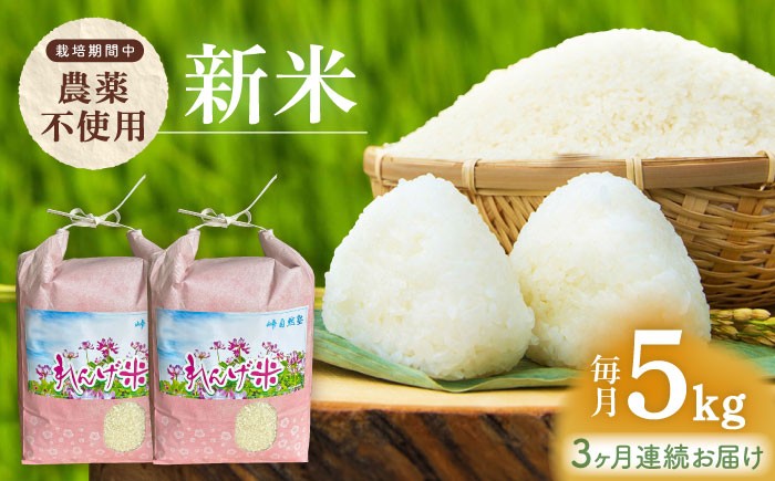 【全3回定期便】栽培期間中農薬不使用 農家のおいしいお米 ヒノヒカリ 15kg 浅田峠自然塾