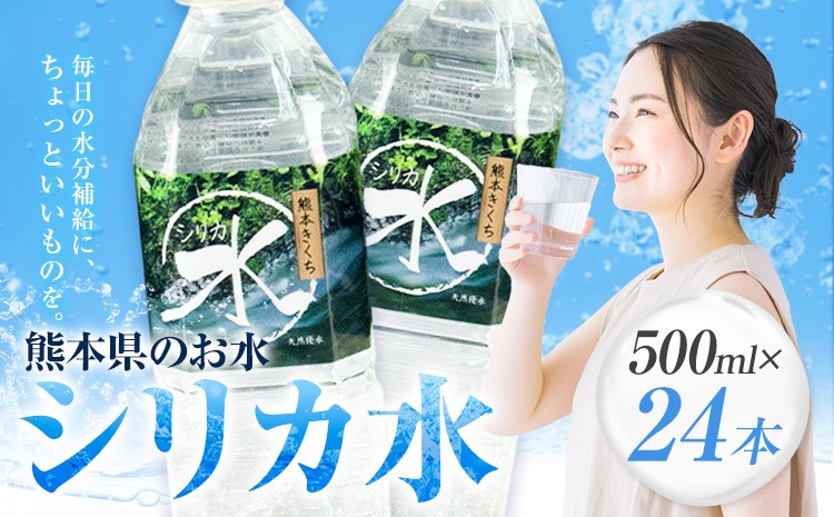 シリカ水 計12L（500ml×24本）シリカ 水 ペットボトル メロンドーム
