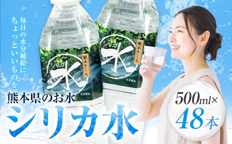 シリカ水 計24L（500ml×48本）シリカ 水 ペットボトル メロンドーム