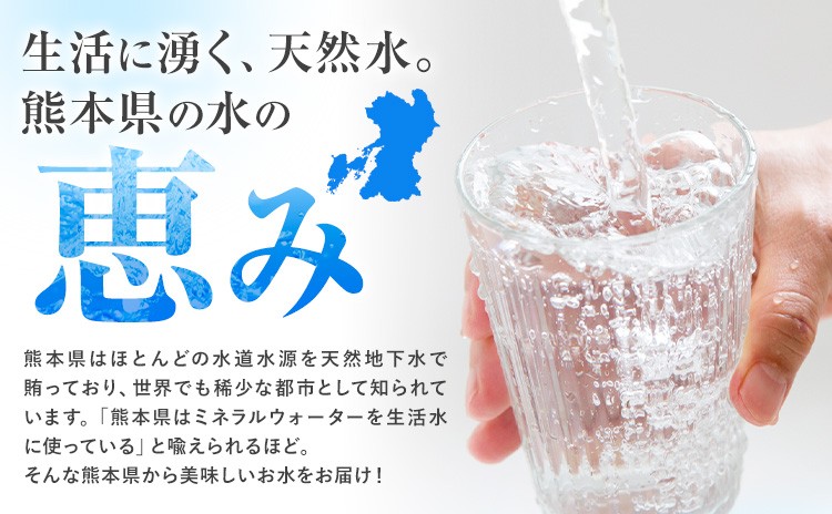 【6ヶ月定期便】シリカ水（500ml×24本）×2箱×6回 計288本 ミネラルウォーター【メロンドーム】