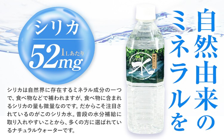 【6ヶ月定期便】シリカ水（500ml×24本）×2箱×6回 計288本 ミネラルウォーター【メロンドーム】