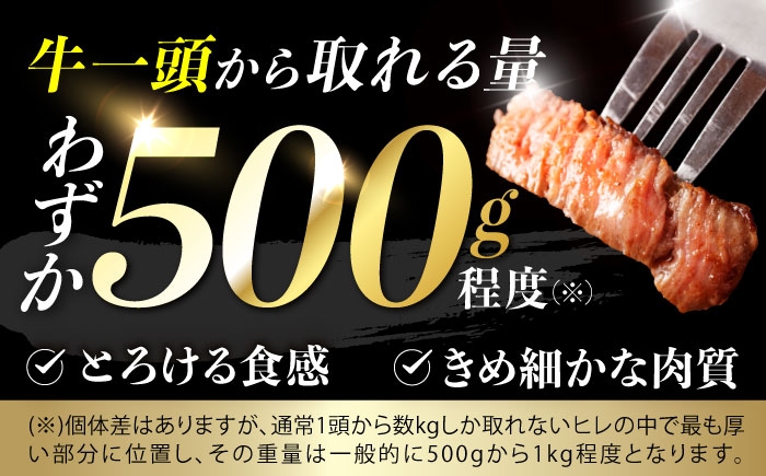 希少 長崎和牛 牛肉 ぎゅうにく 和牛 国産 肉 にく 牛 ヒレ ひれ ヒレステーキ シャトーブリアン しゃとーぶりあん