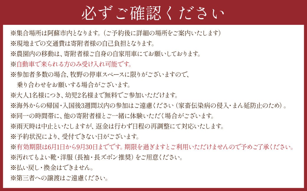 【体験期間6月1日-9月30日】羊飼いと行く阿蘇の草原歩き体験「私も羊もパートナー」4名様1組