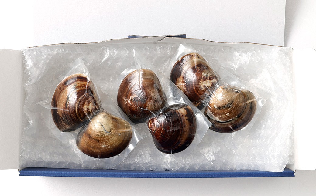 5年もの 桑名産 はまぐり 2粒×3個入 計6粒（ レトルト ）