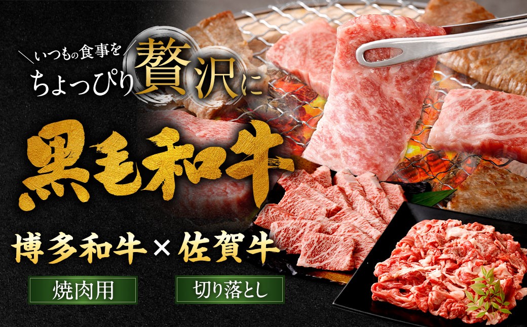 博多和牛焼肉用500g＋佐賀牛切り落とし400g 計900g（計2パック）