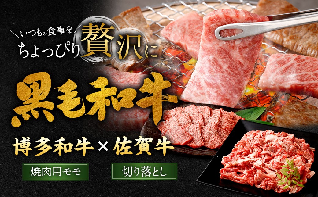 博多和牛焼肉用（モモ）500g＋佐賀牛切り落とし400g 計900g（計2パック）