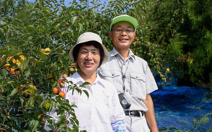 梅干し うめぼし ウメ 梅 うめ 朝食 おかず ご飯の供 おにぎり 柚こしょう 柚子胡椒 柚子