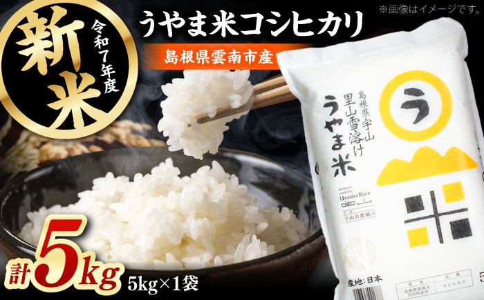 新米 コシヒカリ 白米 島根