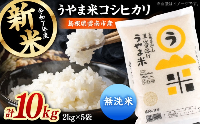 無洗米 新米 コシヒカリ 白米 島根