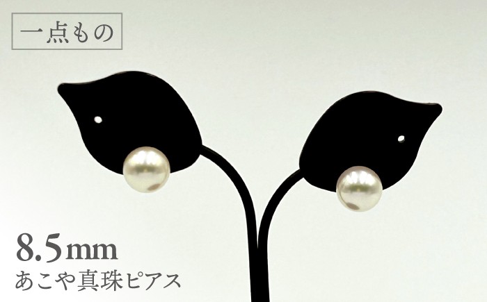 真珠 アコヤ 淡水 本真珠