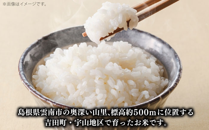 無洗米 新米 コメ つや姫 白米 8キロ