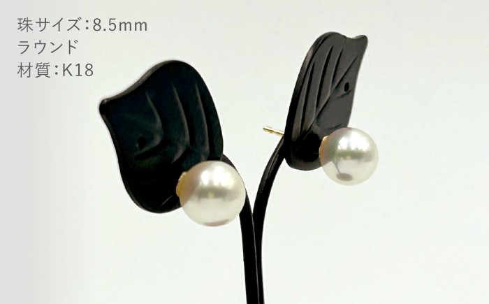 真珠 アコヤ 淡水 本真珠