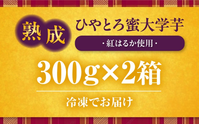 大学芋 さつまいも やき芋 冷凍 小分け 個包装 冷やし焼き芋 サツマイモ 紅はるか スイーツ おやつ 国産 お土産 グルメ